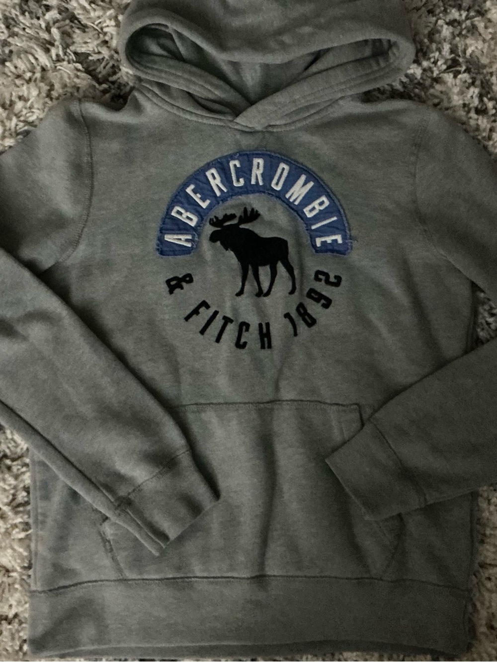 Abercrombie Kids Boys Gray Moose Logo Hoodie Size 13/14 Youth Large